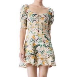 Alice and Olivia Crawford Sweetheart Tiered Floral Mink Dress